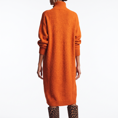 Women's Jumper Dress – Knit Midi Buttoned High Collar Winter